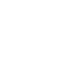 Nanomarker logo